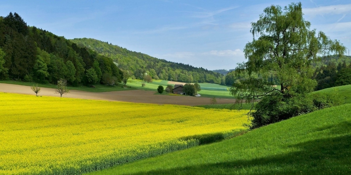 Prométerre