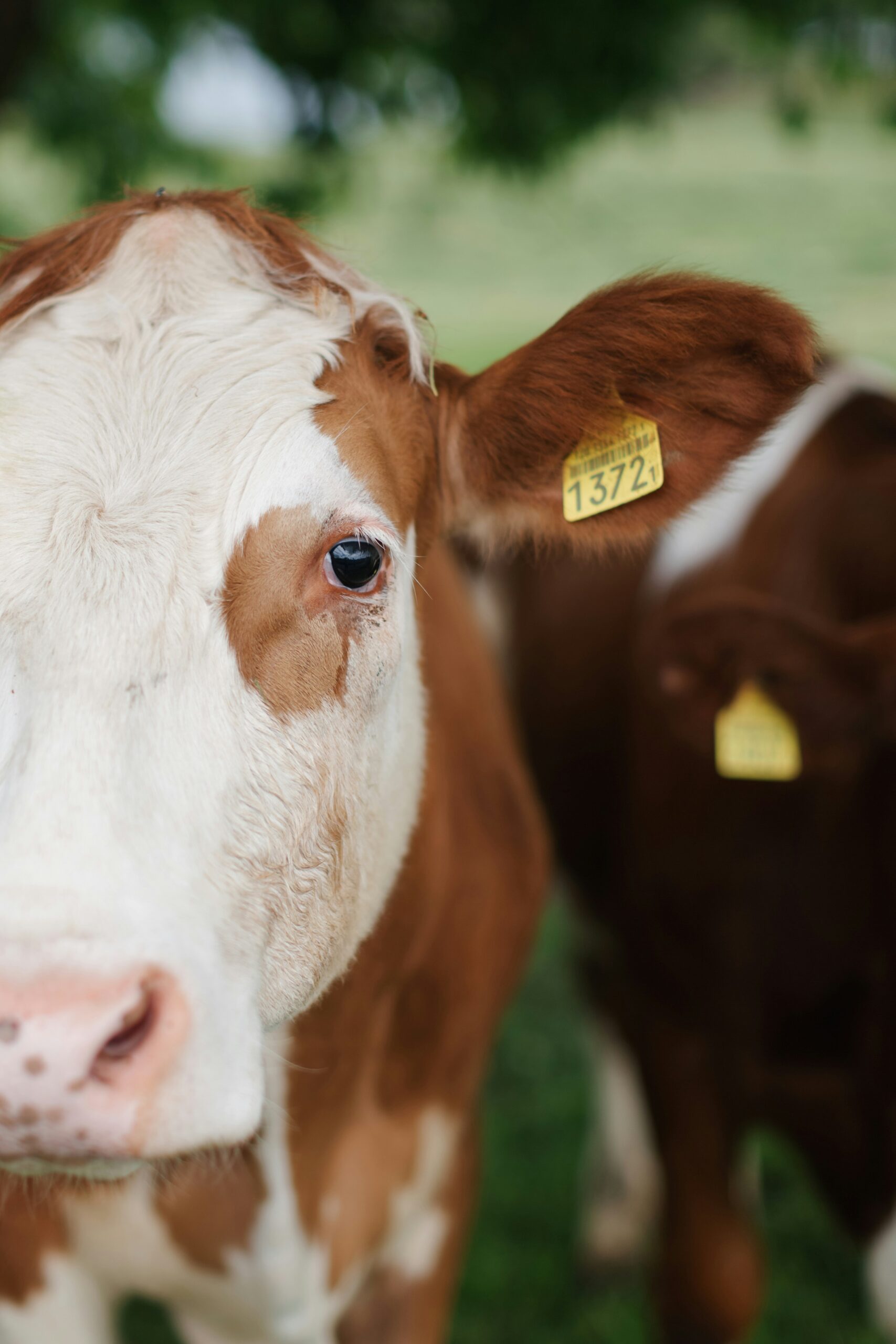 AgroImpact, le premier centre de compétences soutenu par fonds de soutien à l’économie durable.