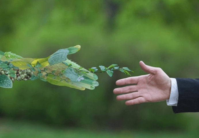 Appel à projets collaboratifs durables sur le thème “Entreprises et Nature”