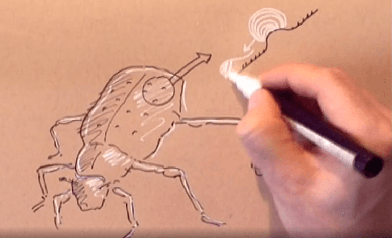 une personne dessine un scarabée pour expliquer le biomimétisme