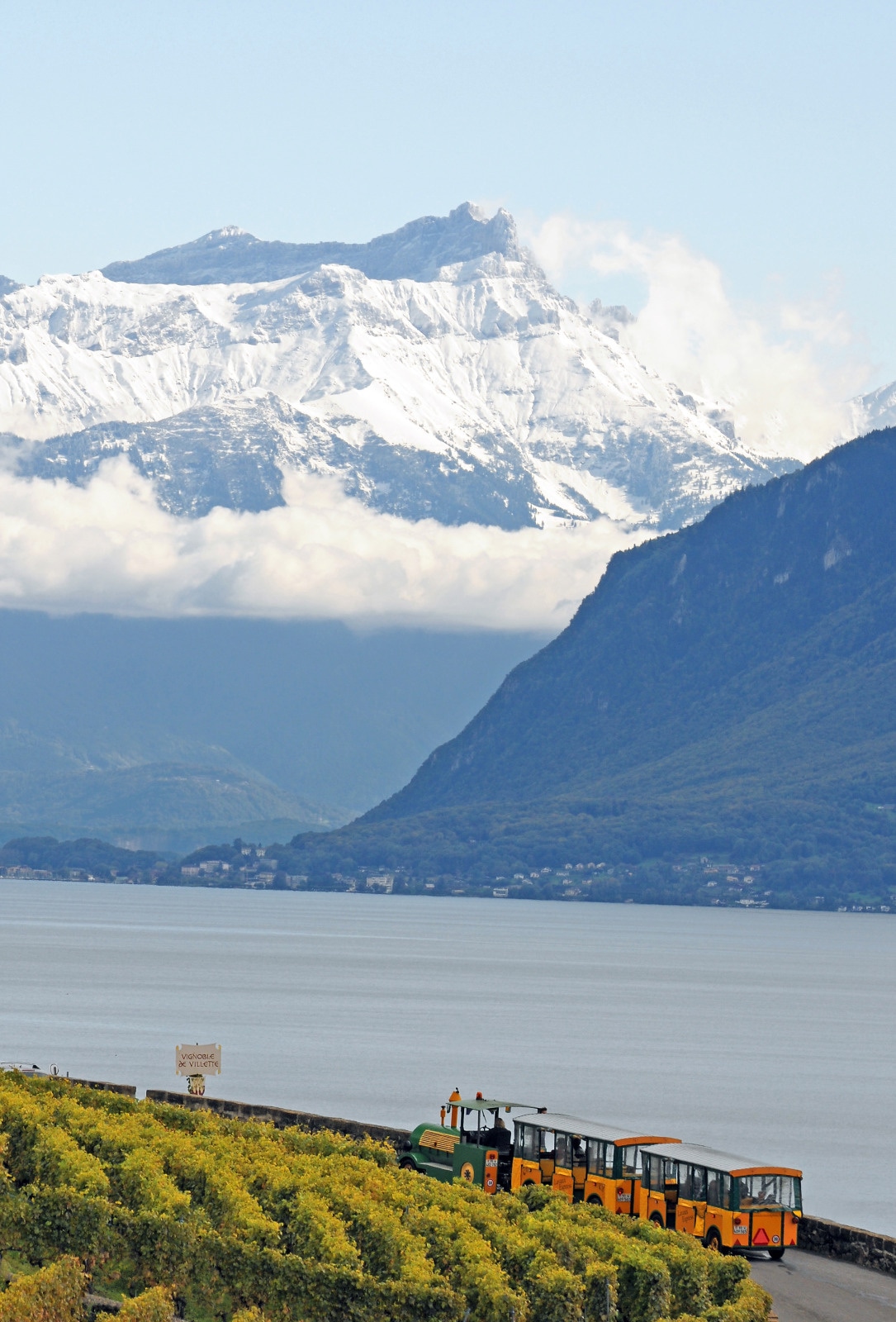Lavaux Express