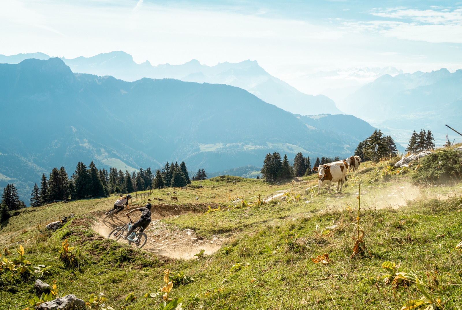 paysage alpin canton de vaud